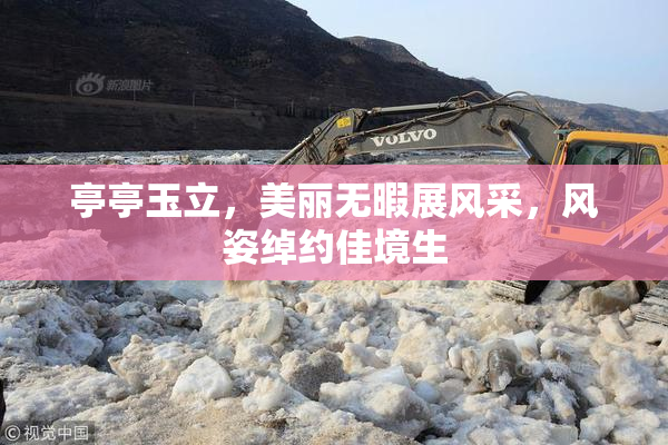 亭亭玉立，美丽无暇展风采，风姿绰约佳境生