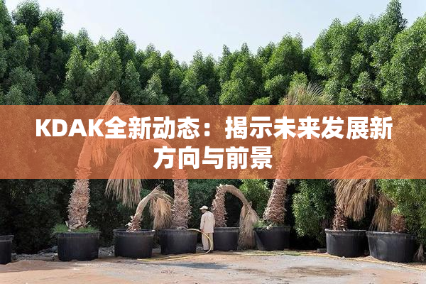 KDAK全新动态：揭示未来发展新方向与前景