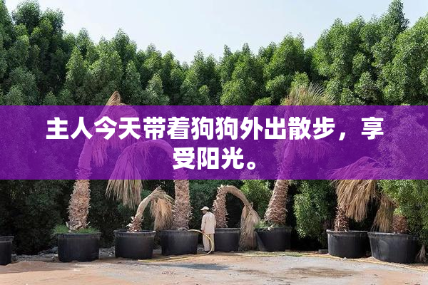 主人今天带着狗狗外出散步，享受阳光。