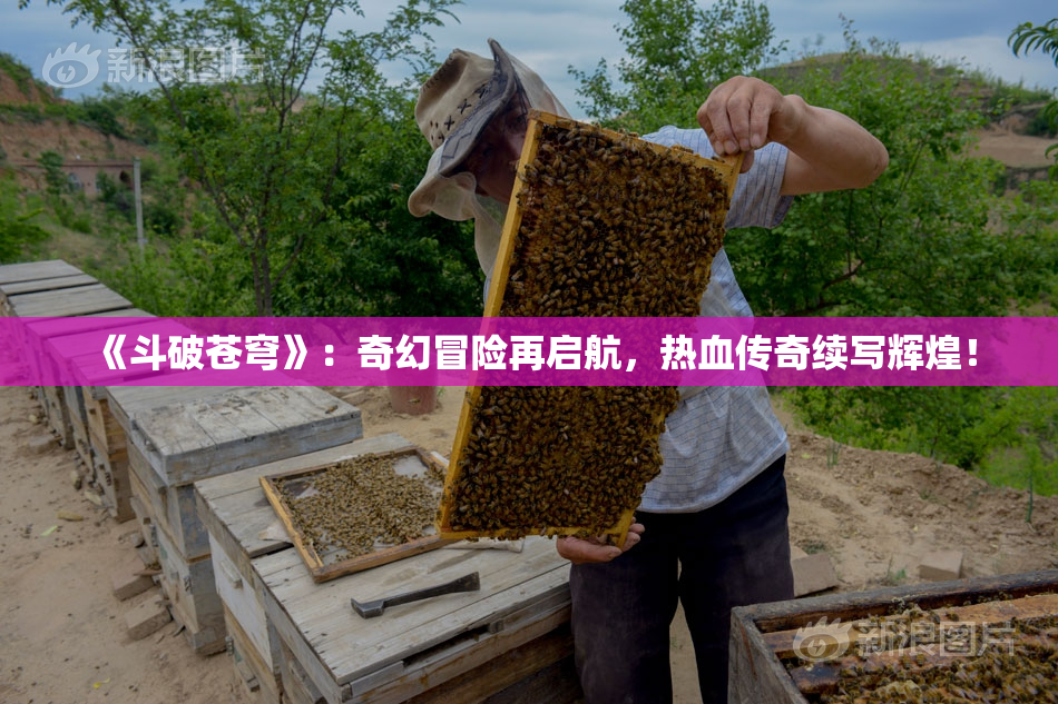 《斗破苍穹》：奇幻冒险再启航，热血传奇续写辉煌！