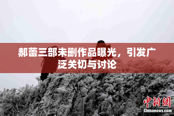 郝蕾三部未删作品曝光，引发广泛关切与讨论