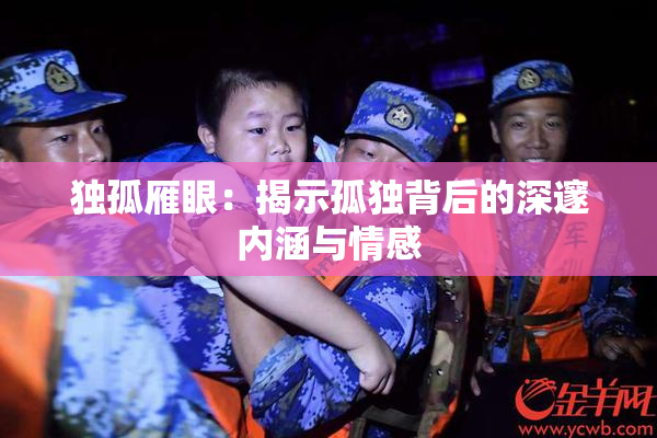 独孤雁眼：揭示孤独背后的深邃内涵与情感