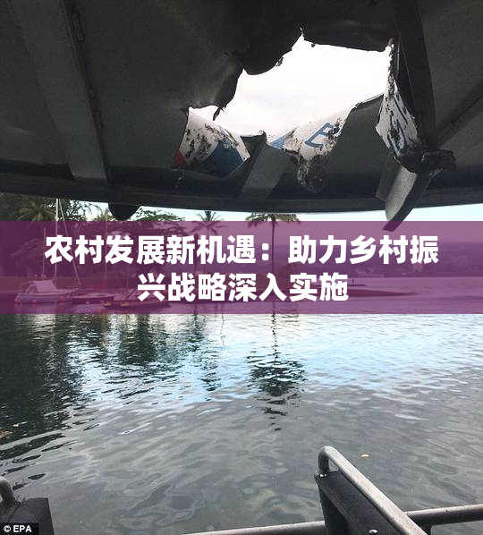 农村发展新机遇：助力乡村振兴战略深入实施