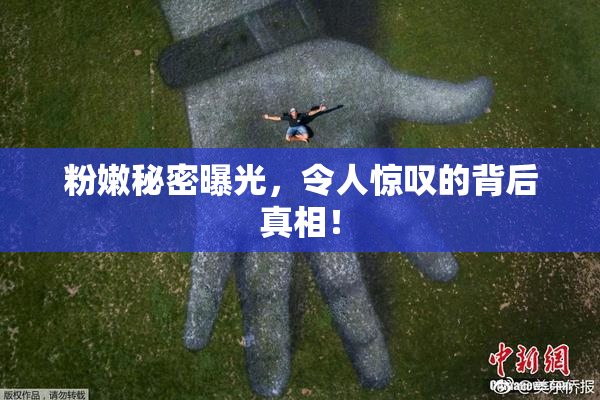 粉嫩秘密曝光，令人惊叹的背后真相！