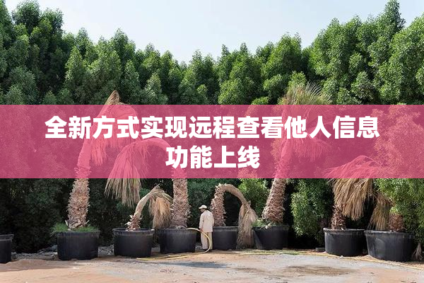 全新方式实现远程查看他人信息功能上线