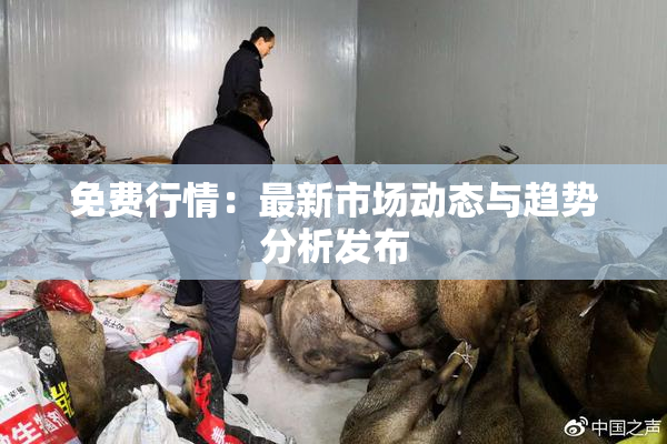 免费行情：最新市场动态与趋势分析发布