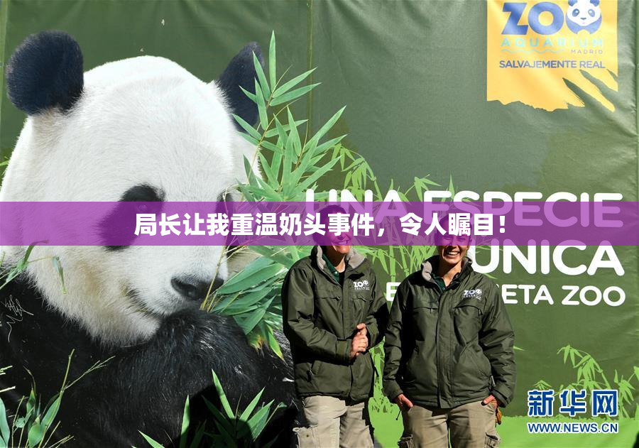 局长让我重温奶头事件，令人瞩目！