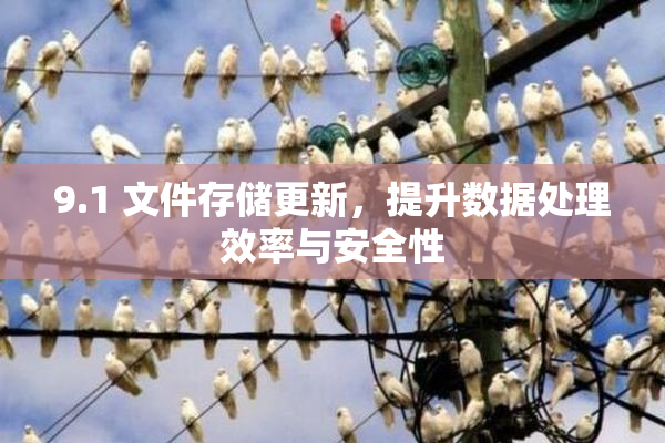 9.1 文件存储更新，提升数据处理效率与安全性