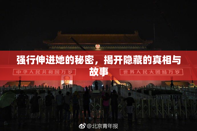 强行伸进她的秘密，揭开隐藏的真相与故事