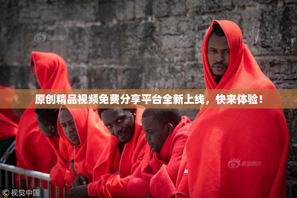 原创精品视频免费分享平台全新上线，快来体验！