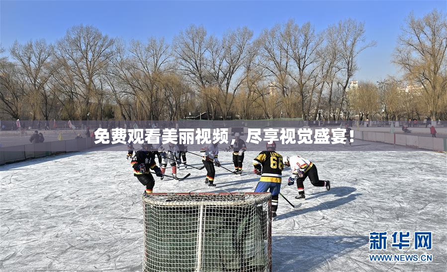 免费观看美丽视频，尽享视觉盛宴！