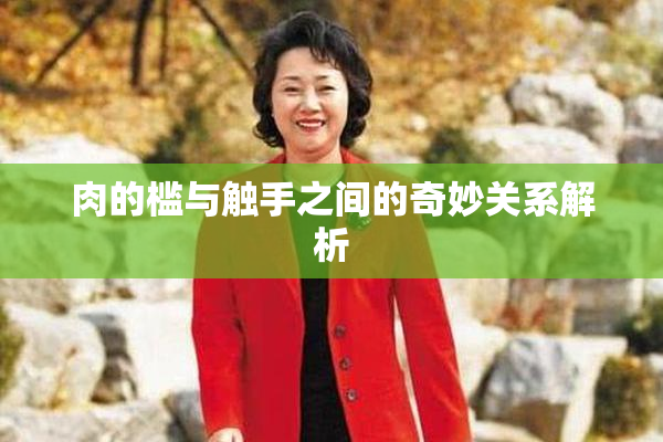 肉的槛与触手之间的奇妙关系解析