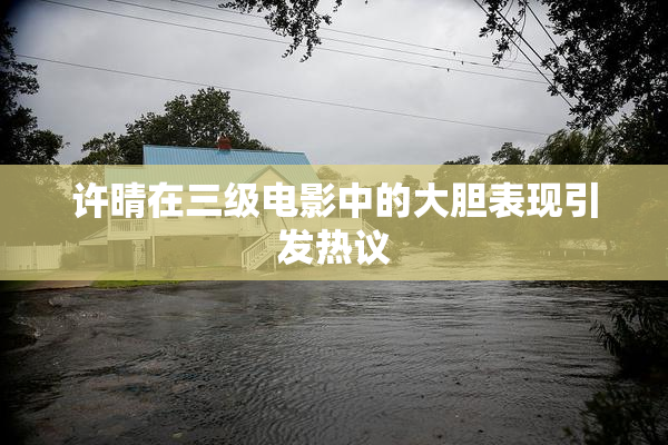 许晴在三级电影中的大胆表现引发热议