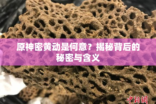 原神密黄动是何意？揭秘背后的秘密与含义