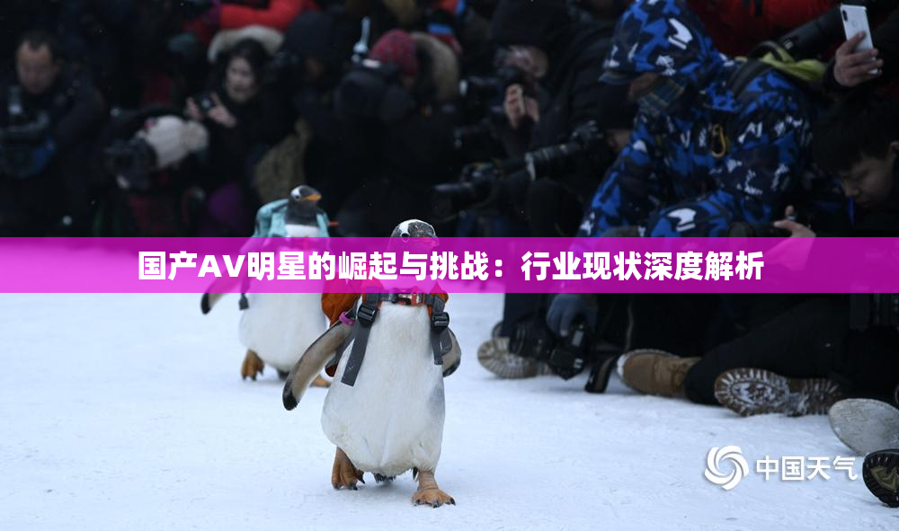 国产AV明星的崛起与挑战：行业现状深度解析