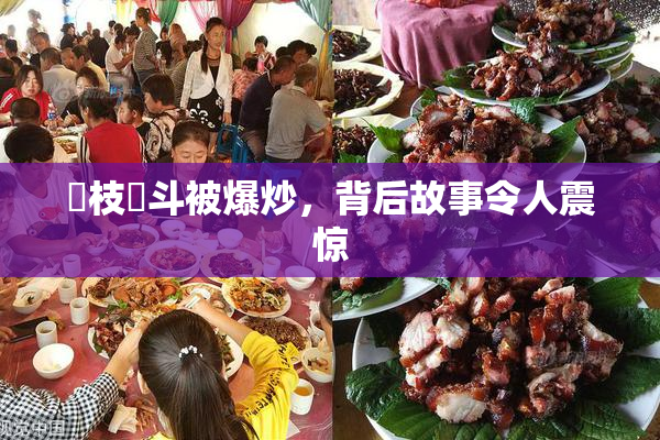 狛枝凪斗被爆炒，背后故事令人震惊