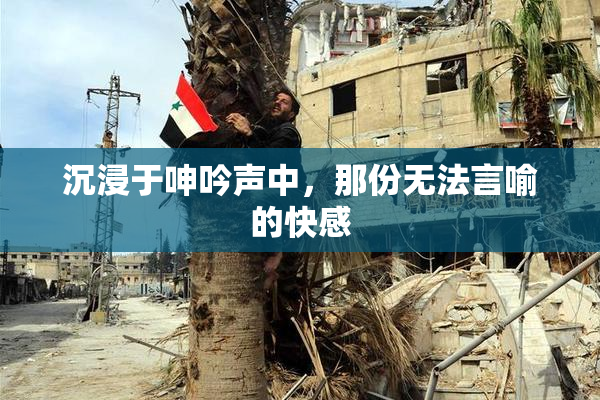 沉浸于呻吟声中，那份无法言喻的快感