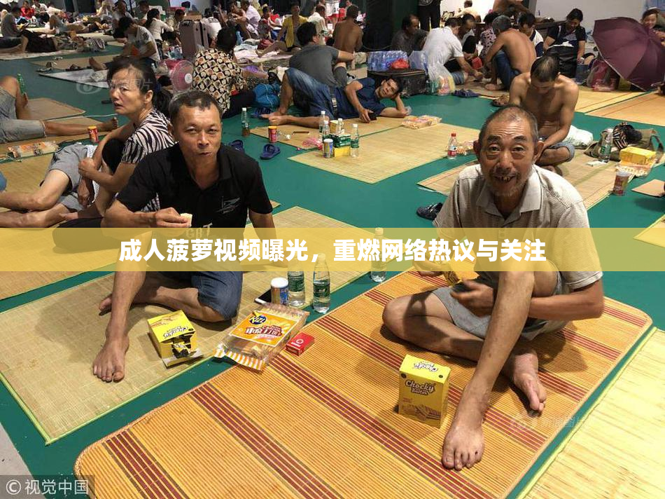 成人菠萝视频曝光，重燃网络热议与关注