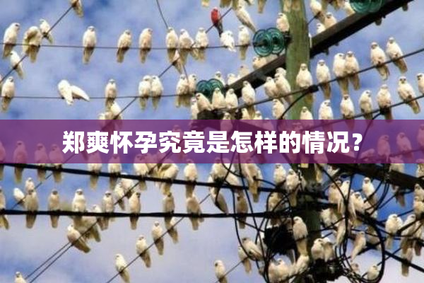 郑爽怀孕究竟是怎样的情况？