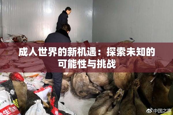 成人世界的新机遇：探索未知的可能性与挑战