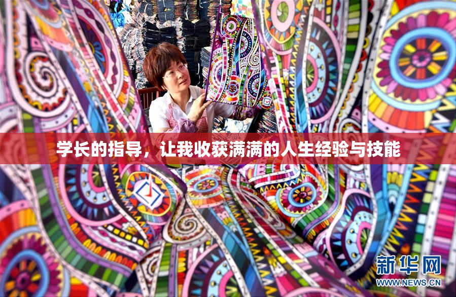学长的指导，让我收获满满的人生经验与技能