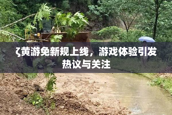 ζ黄游免新规上线，游戏体验引发热议与关注