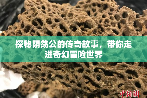 探秘阴荡公的传奇故事，带你走进奇幻冒险世界