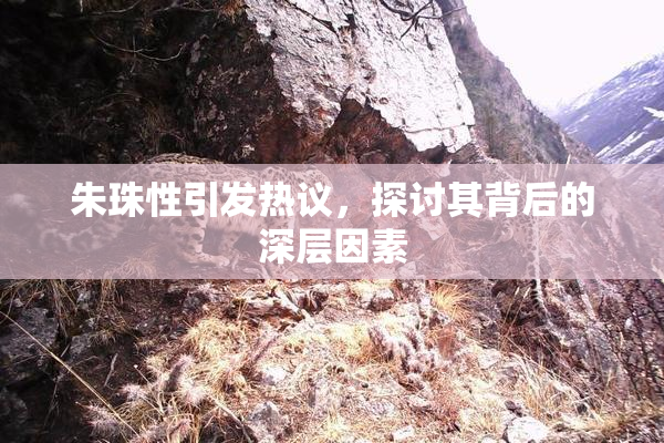 朱珠性引发热议，探讨其背后的深层因素