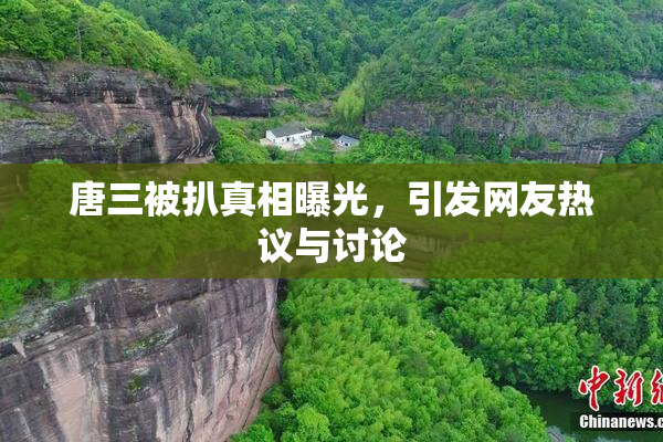 唐三被扒真相曝光，引发网友热议与讨论