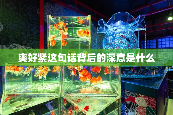 爽好紧这句话背后的深意是什么
