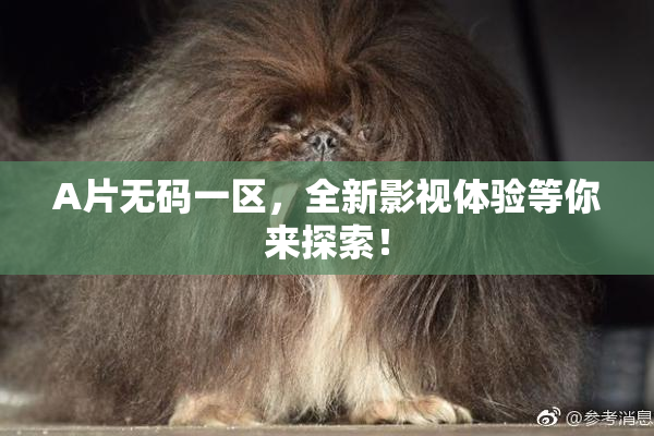A片无码一区，全新影视体验等你来探索！