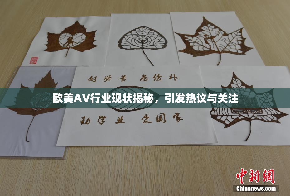 欧美AV行业现状揭秘，引发热议与关注