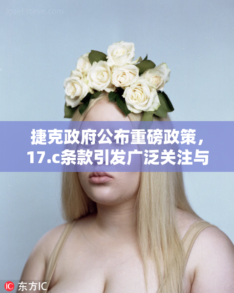 捷克政府公布重磅政策，17.c条款引发广泛关注与讨论
