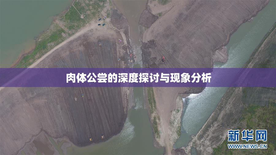 肉体公尝的深度探讨与现象分析