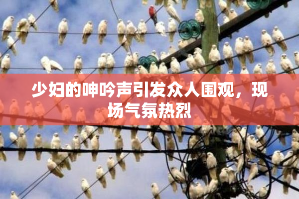 少妇的呻吟声引发众人围观，现场气氛热烈