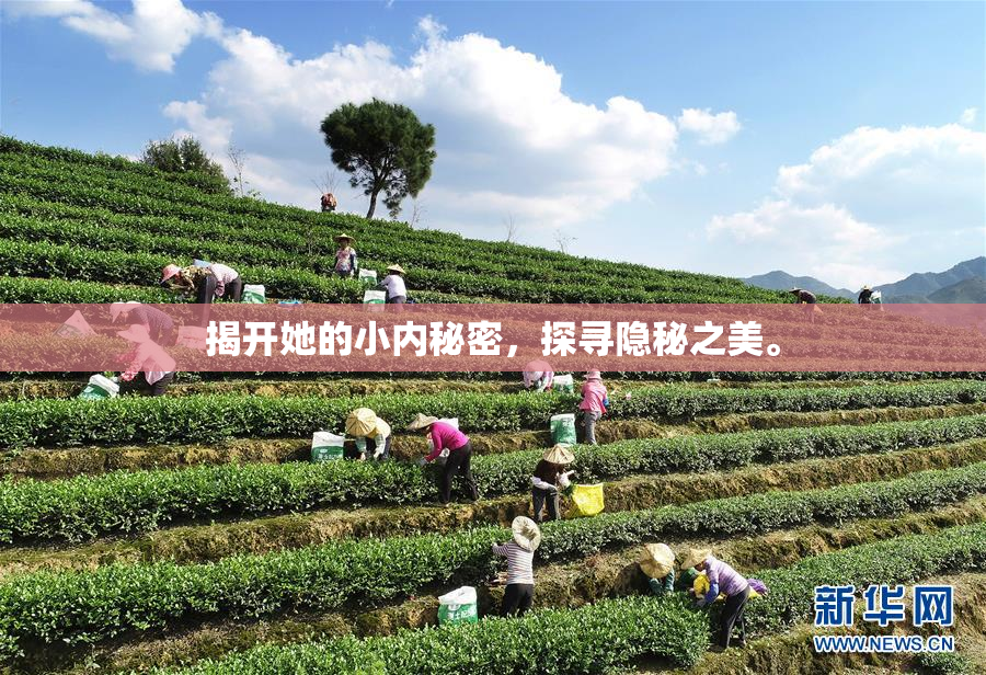 揭开她的小内秘密，探寻隐秘之美。