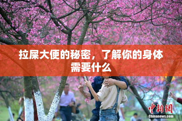 拉屎大便的秘密，了解你的身体需要什么
