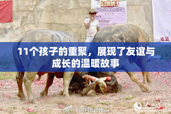11个孩子的重聚，展现了友谊与成长的温暖故事