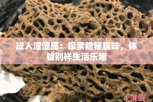 成人涩涩屋：探索隐秘趣味，体验别样生活乐趣