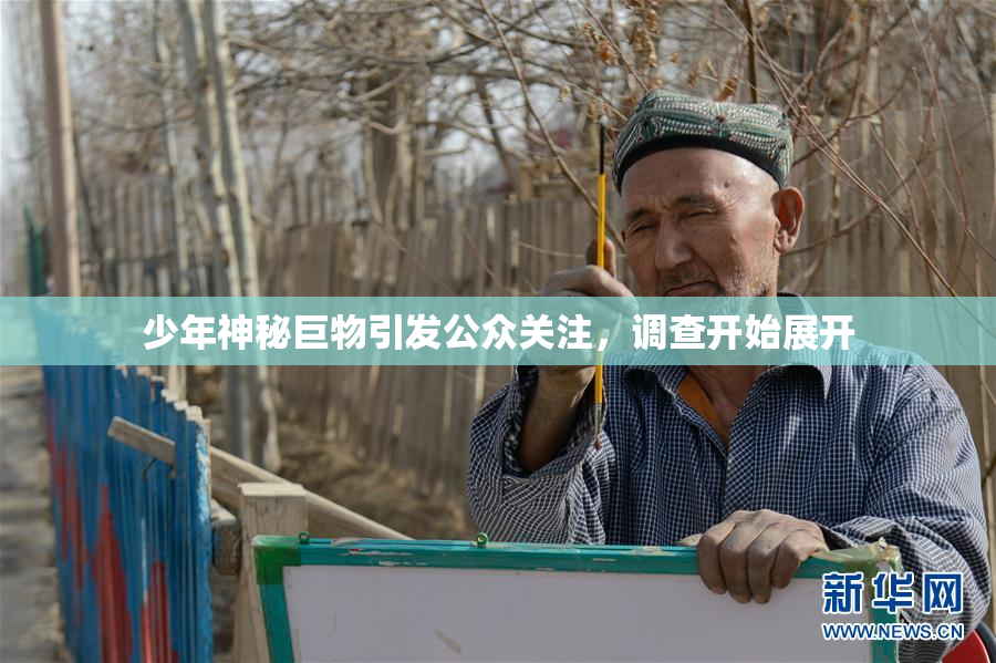 少年神秘巨物引发公众关注，调查开始展开