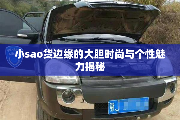 小sao货边缘的大胆时尚与个性魅力揭秘
