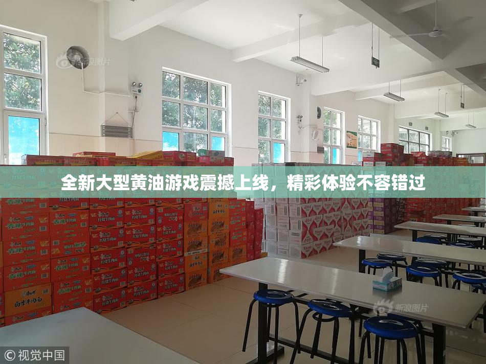 全新大型黄油游戏震撼上线，精彩体验不容错过