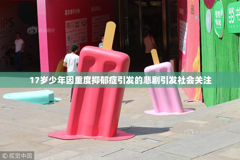 17岁少年因重度抑郁症引发的悲剧引发社会关注