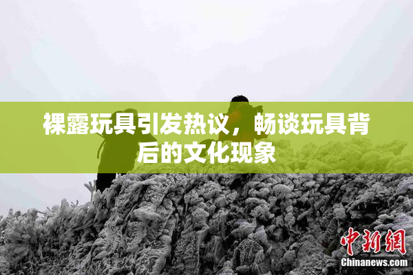裸露玩具引发热议，畅谈玩具背后的文化现象