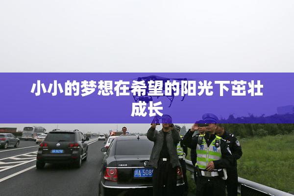 小小的梦想在希望的阳光下茁壮成长