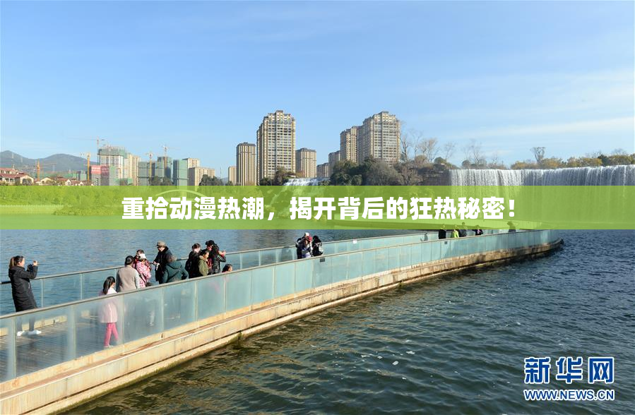 重拾动漫热潮，揭开背后的狂热秘密！