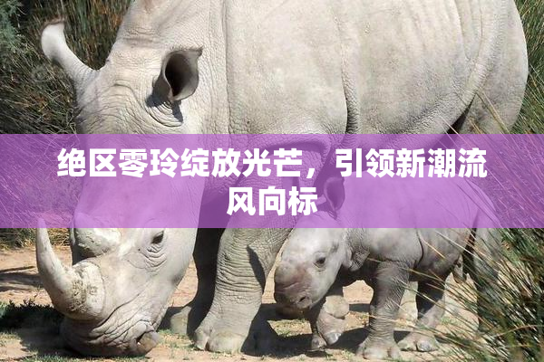 绝区零玲绽放光芒，引领新潮流风向标
