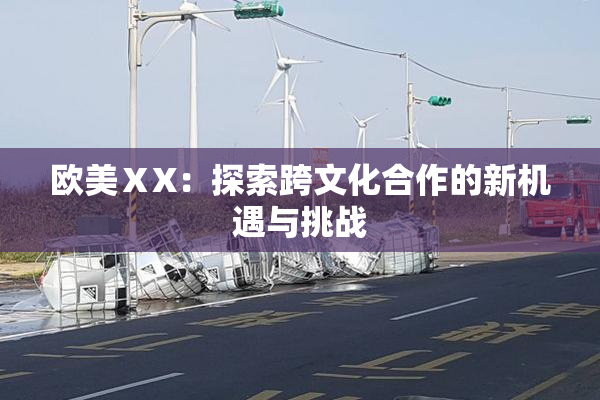 欧美ⅩX：探索跨文化合作的新机遇与挑战