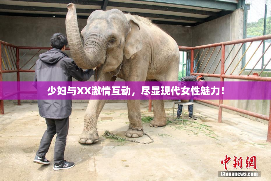 少妇与XX激情互动，尽显现代女性魅力！