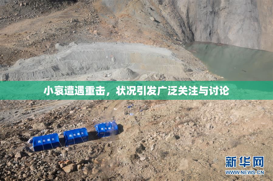 小哀遭遇重击，状况引发广泛关注与讨论